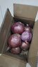 京鲜生 甘肃紫红皮洋葱净重5斤单果200g+ 现挖新鲜蔬菜 源头直发包邮 实拍图