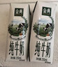 伊利【18天新鲜直达】金典纯牛奶250ml*16盒3.6g乳蛋白 礼盒装  实拍图