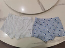 蕉内小特护301C儿童内裤A类棉10A抗菌男童3-6-9-12-14岁青少年平角3件 实拍图