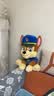 汪汪队立大功（PAW PATROL）汪汪队玩具毛绒全套狗狗玩偶公仔男女孩玩具旺旺队儿童生日礼物 经典款-阿奇公仔【需选尺寸】 中号-坐或站高约17~22.9CM 实拍图