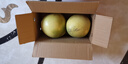 京鲜生 福建三红蜜柚2粒 净重4.5-5斤 水果礼盒 源头直发包邮 实拍图