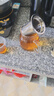 金灶（KAMJOVE）泡茶壶飘逸杯 耐热玻璃茶具功夫办公室花茶壶 茶水分离杯茶壶家用 A-02 500ml 实拍图