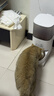 霍曼（Homerun）Real智能自动喂食器猫粮狗粮定时猫咪自动投食机（不锈钢碗） 实拍图