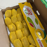 佳沛（zespri）新西兰  阳光金奇异果25-27粒原箱特大果单果约122-146g  猕猴桃 实拍图