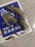 鲜京采 厄瓜多尔白虾 净重3斤/盒 特大号20-30规格   30-45只/盒 实拍图