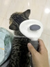 茨格曼猫梳子梳毛刷猫咪去浮毛猫毛清理器除毛器针梳狗狗梳子宠物用品 实拍图