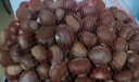 栗小胖新货迁西板栗生新鲜栗子生鲜迁西生栗子大油栗小毛唐山板粟 老树品种净重5斤 大果（实惠性价比高） 实拍图