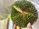 趣尝鲜马来西亚红肉榴莲小猫山王D101液氮冷冻整果3-4斤 保4房 源头直发 实拍图