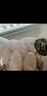 CP正大食品白羽鸡腿肉丁1.8斤 生鲜冷冻 鸡肉鸡腿肉烤炸卤煮 实拍图