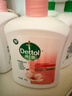 滴露（Dettol）洗手液抑菌滋润450g*2+松木450g*2儿童家庭补充装消毒温和护手 实拍图
