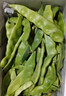 京鲜生山东新鲜油豆角1.8斤装新鲜蔬菜源头直发包邮 实拍图