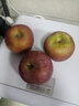 京鲜生 云南昭通丑苹果 净重4斤装 单果130g起 新鲜水果 实拍图