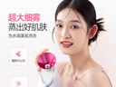 金稻 蒸脸仪美容仪器面部喷雾补水热喷蒸脸器加湿器香薰离子热喷面膜搭档KD2331A生日礼物出行必备 实拍图
