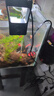 森森鱼缸石英加热棒 适用70-100L  恒温加热器 离水断电 300W 实拍图