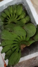广西小米蕉小香蕉自然熟迷你香蕉苹果蕉小芭蕉新鲜水果特产鸡蕉 小米蕉 9斤 泡沫箱打包 实拍图
