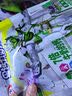 妙飞铠甲勇士联名 星钙力高钙奶酪棒180g/10支 含益生菌 儿童零食 实拍图