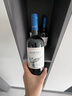 MONTES蒙特斯经典梅洛红酒葡萄酒750ml*6整箱日常婚礼宴请智利原瓶进口 实拍图