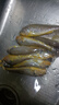 三都港 宁德海捕小黄鱼350g/包【约8-11只】新鲜冷冻海鲜生鲜烧烤食材鱼 海捕小黄鱼350g*3袋 实拍图