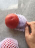 正宗沙瓤西红柿水果番茄自然熟新鲜蔬菜生鲜减肥单果80g起 1斤 带箱 实拍图