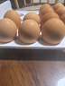 兰皇无菌蛋omega-3营养型新鲜鸡蛋类可生吃食用糖溏心蛋温泉蛋礼盒装 30枚 实拍图