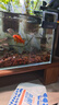 坤宁王金晶超白玻璃鱼缸桌面造景小鱼缸家用客厅裸缸一体缸30*17*20cm 实拍图