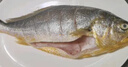黄小渔宁德三去黄花鱼800g/条 大黄鱼生鲜 鱼类海鱼 海鲜水产 实拍图