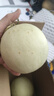 玉菇甜瓜蜜瓜新鲜水果批发冰激凌甜瓜软糯甜瓜 3斤 实拍图