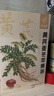 忆江南苹果黄芪水麦冬须根枸杞红枣茶150g补茶包气血养生茶 实拍图