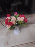 三沐简舍仿真花假花餐桌卧室客厅装饰品摆设花酒柜创意摆件工艺品塑料花 五彩桃香玫+花筐 实拍图