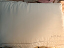 水星家纺枕头蚕丝枕A类抗菌护颈枕头芯家用单只深度睡眠蚕丝软枕48cm*74cm 实拍图