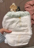 babycare金山茶花拉拉裤XL34片(12-17kg)婴儿尿不湿超薄透气新生柔花苞裤 实拍图