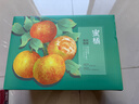 京鲜生 无核蜜桔 精选5斤装橘子/桔子  单果100g+ 生鲜水果礼盒 实拍图