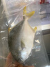 翔泰 海南深海金鲳鱼2.4斤/3-4条净重 BAP认证 生鲜鱼类 海鲜水产  实拍图