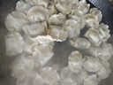 湾仔码头素水饺裙带菜杏鲍菇水饺720g42只 饺子早餐食品速食半成品面点 实拍图