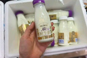 每日鲜语鲜牛奶A2β-酪蛋白低温牛奶巴氏杀菌乳A2β-185ml*6 低温鲜奶 实拍图