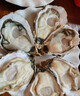 鲜京采 鲜活生蚝4XL 净重5斤 10-13只 鲜活到家 生鲜海鲜 源头直发 实拍图