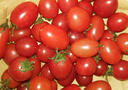 千禧圣女果新鲜小番茄樱桃小柿子孕妇水果现摘现发新鲜蔬菜 新鲜圣女果 300g 带箱 实拍图