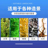 派乐特 鱼缸造景骨架胶水族沉木莫斯树根水草鹅卵石头粘结100g 实拍图