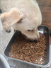 蓝枸狗粮40斤装通用型金毛拉布拉多泰迪成犬小型中型大型犬20kg 实拍图