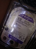 西部数据（WD）6TB 监控级机械硬盘 WD Purple 西数紫盘 SATA 256MB CMR垂直 安防存储 3.5英寸 WD64PURZ 实拍图