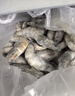 北海湾 虾 青岛大虾鲜活冷冻基围虾 虾类 海鲜水产生鲜白虾青虾海虾对虾 盐冻大虾 3.3斤(净重)  16-18cm【单只冻 特大虾】 实拍图