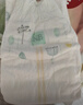 好奇（Huggies）小森林纸尿裤NB66片(5kg以下)尿不湿心钻【透氧顶配更低敏】 实拍图