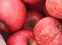 京鲜生 山东栖霞红富士苹果精品12粒 单果190g-240g  水果礼盒 实拍图