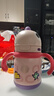 babycare儿童保温杯婴儿宝宝吸管水杯霸王龙不锈钢保温杯300ml-新旧款混发 实拍图