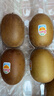 佳沛（zespri）新西兰  阳光金奇异果巨大果22粒原箱 单果重约144-175g 猕猴桃 实拍图