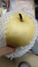 山姆大叔 山东莱阳秋月梨【闪送-多地次日达】冰糖梨子水果礼盒中秋送礼品 【羊脂级-稀缺巨无霸】单果450g+｜纯甜多汁 5斤装【超值推荐-80%选择】净4.5 实拍图