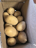 湖北恩施富硒小土豆黄心国家地标蔬菜高山种植鸡蛋大小生鲜京东 富硒小土豆 5斤含箱 实拍图