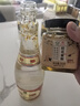 汾酒 黄盖玻汾 清香型白酒 53度 475mL*12瓶 （非原箱6瓶*2） 实拍图