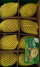 佳沛（zespri）新西兰阳光金奇异果 8个装 特大果单果重约122-146g 水果猕猴桃 实拍图