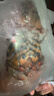 鲜活波士顿龙虾400-500g/只 实拍图